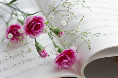 Free Template by colorlib.com